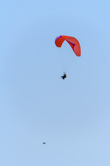 Higher than the birds, paragliding in the sky