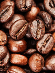 Coffee background. Brown coffee beans, close up of coffee beans