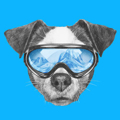 Portrait of Jack Russell Dog with ski goggles. Hand drawn illustration.
