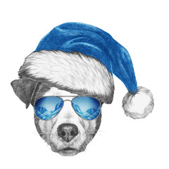 Portrait of Jack Russell Dog with Santa Hat and sunglasses. Hand drawn illustration.
