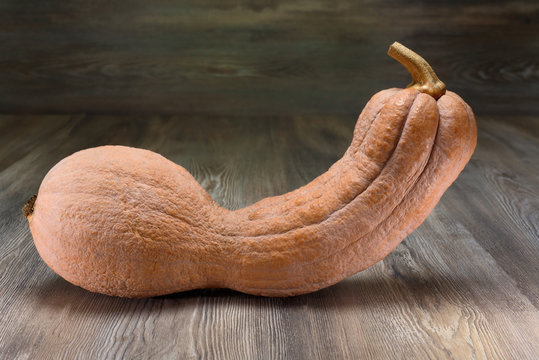 Zucca violina (Butternut rugosa)