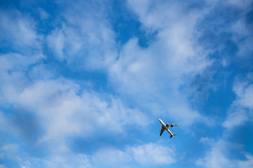 大空と飛行機3