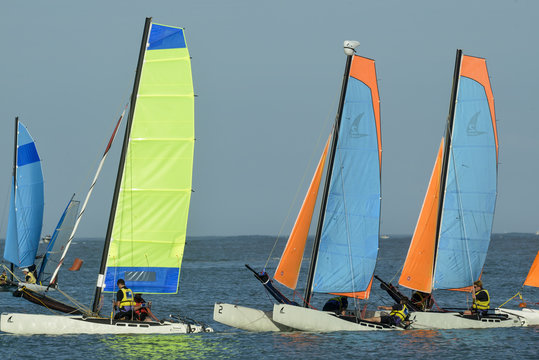 bateau, catamaran, regate, voile,