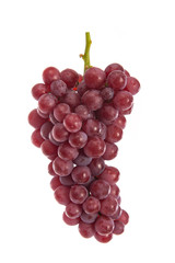 Fresh red grapes on white