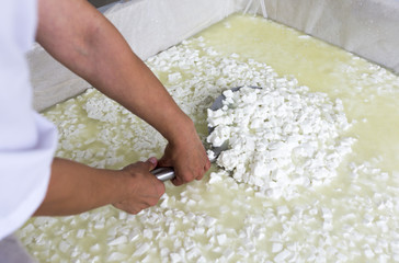 White Bulgarian cheese