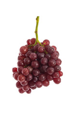 Fresh red grapes on white