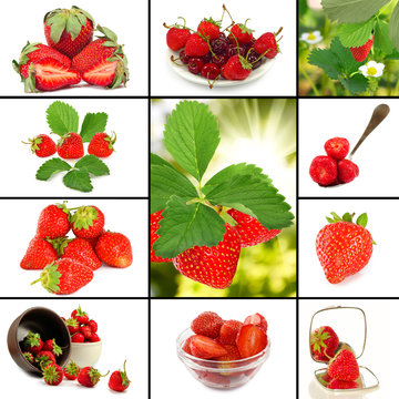 image of many strawberries closeup
