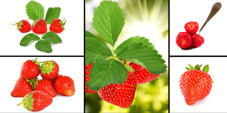 image of many strawberries closeup