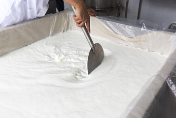 Cheese production creamery dairy worker mixing