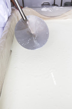 Cheese production creamery dairy worker coagulation