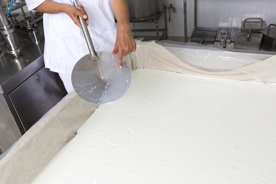Cheese production creamery dairy worker coagulation