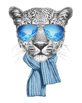 Portrait of Leopard with mirror sunglasses and scarf. Hand drawn illustration.