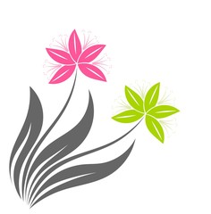 Flowers illustration