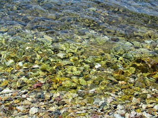 green transparent sea with white stones
