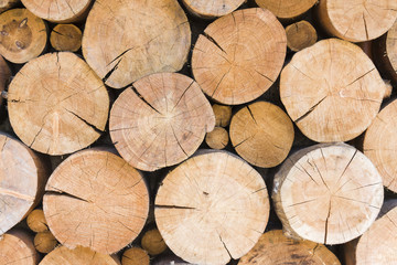Pile of large timber beams