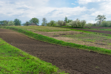 Fototapeta na wymiar Spring landscape in a country area, Sumskaya oblast, Ukraine