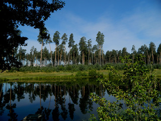 Брянская весна