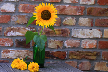 Sonnenblume in grüner Vase auf altem Holztisch vor Ziegelmauer, horizontal