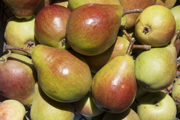 Pears still life, rustic country style.