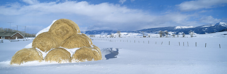 Haystacks and Snow, Moose-Wilson Road, Jackson, Wyoming