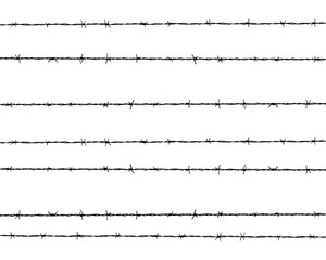 Black silhouette of the barbed wire, vector