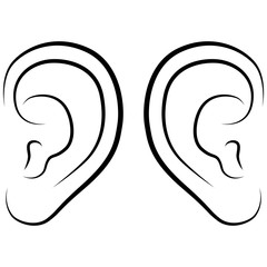 Ear