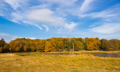 Fototapeta premium beautiful lake in Dyrehave park, Denmark