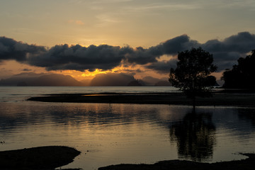 Fototapeta premium Tree at the Beach at sunrise time, Phang Nga National Park
