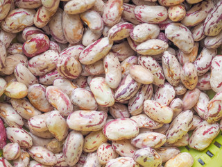 Crimson beans vegetables background