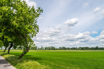 Countryside view on fields