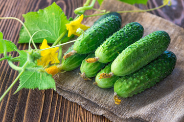 cucumbers on the wooden background
