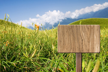 Blank wooden sign