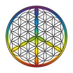 Flower of life and peace sign combined into one symbol. Isolated vector illustration on white background.