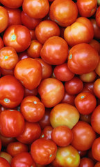 Pile of fresh red and orange tomatos. Background image.