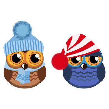 Two funny owls