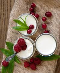 Fresh Homemade Yogurt with Mint and Berries. Selective Focus.