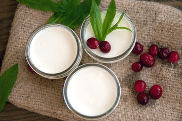 Fresh Homemade Yogurt with Mint and Berries. Selective Focus.