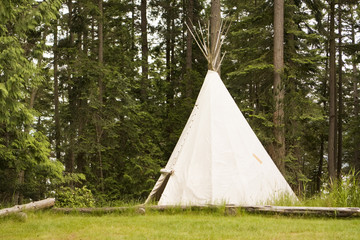 Single Teepee In Field