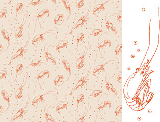 Shrimps. Seamless pattern motif. Orange color linear drawing on - 90019349