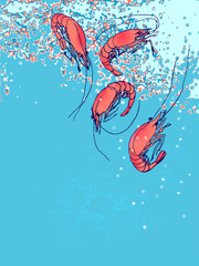 Shrimps in water. Drawn illustration, sketch, doodle. Flyer, ban - 90019371