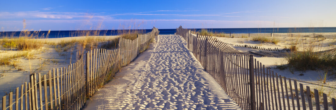 Fototapeta Pathway and sea oats on beach at Santa Rosa Island near Pensacola, Florida