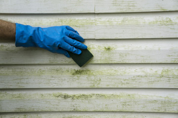 Scrubbing Algae and Mold  Off Vinyl SIding