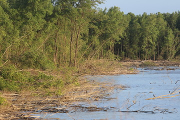 Guyane - Cayenne - Vieux Port - Août 2015