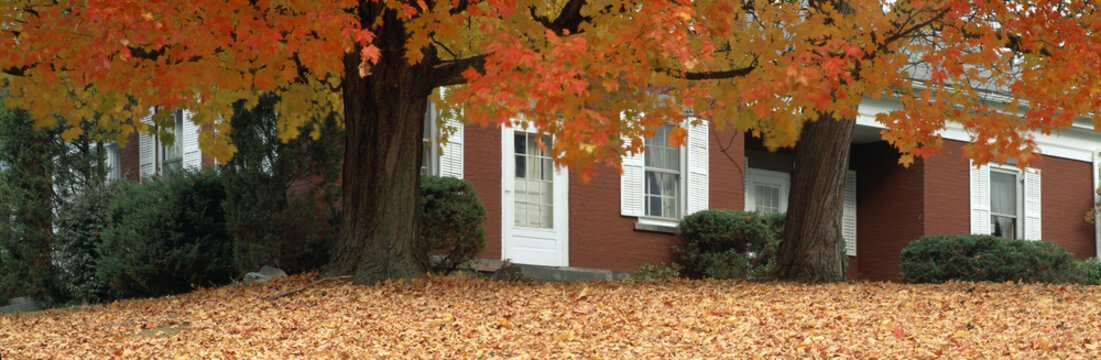 Red House And Maple Trees Along Route 79, Broome County, New York