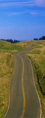 This is the Golden Gate National Recreation Area at Mount Tamalpais. There is a winding spring road with no cars on it.