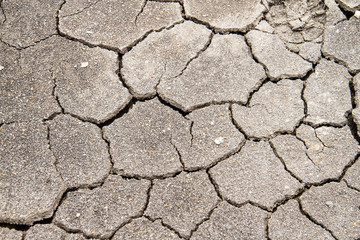 Texture of mud with cracks