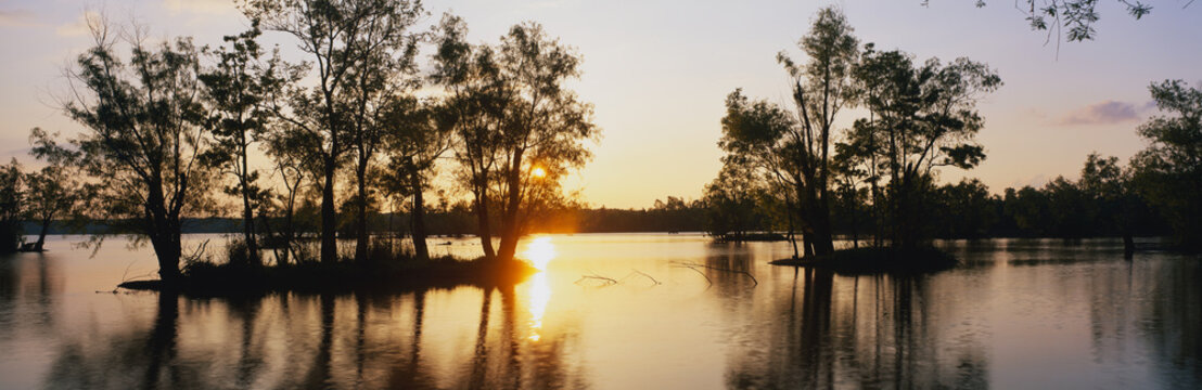 This is the wildlife refuge at Lake Fausse Pointe State park at sunset. The cypress trees are growing all around the lake and on islands in the water.