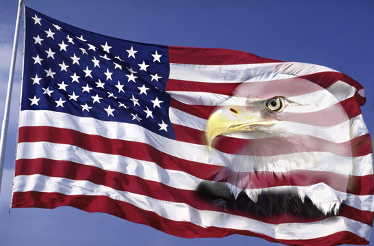 300+ Free Us Flag & American Flag Images - Pixabay