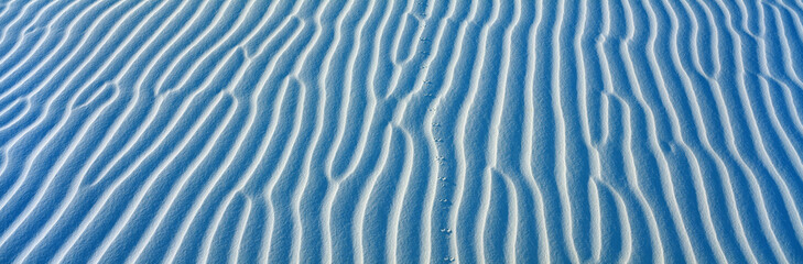 These are white sand dunes in morning light. There are line patterns from the wind and small feet prints from a small creature who has walked through the sand.
