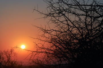 Obraz premium Sunset on Naledi safari in Greater Kruger National Park